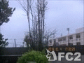 動画:台風25号.mp4