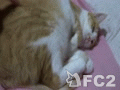動画:ヒメOct15,2015.MTS