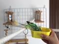 【動画】無邪気な私っ 【動画】無邪気な私っ
